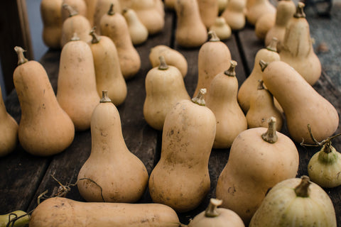 Large Butternut Squash