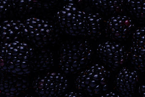 Blackberries (1 box)