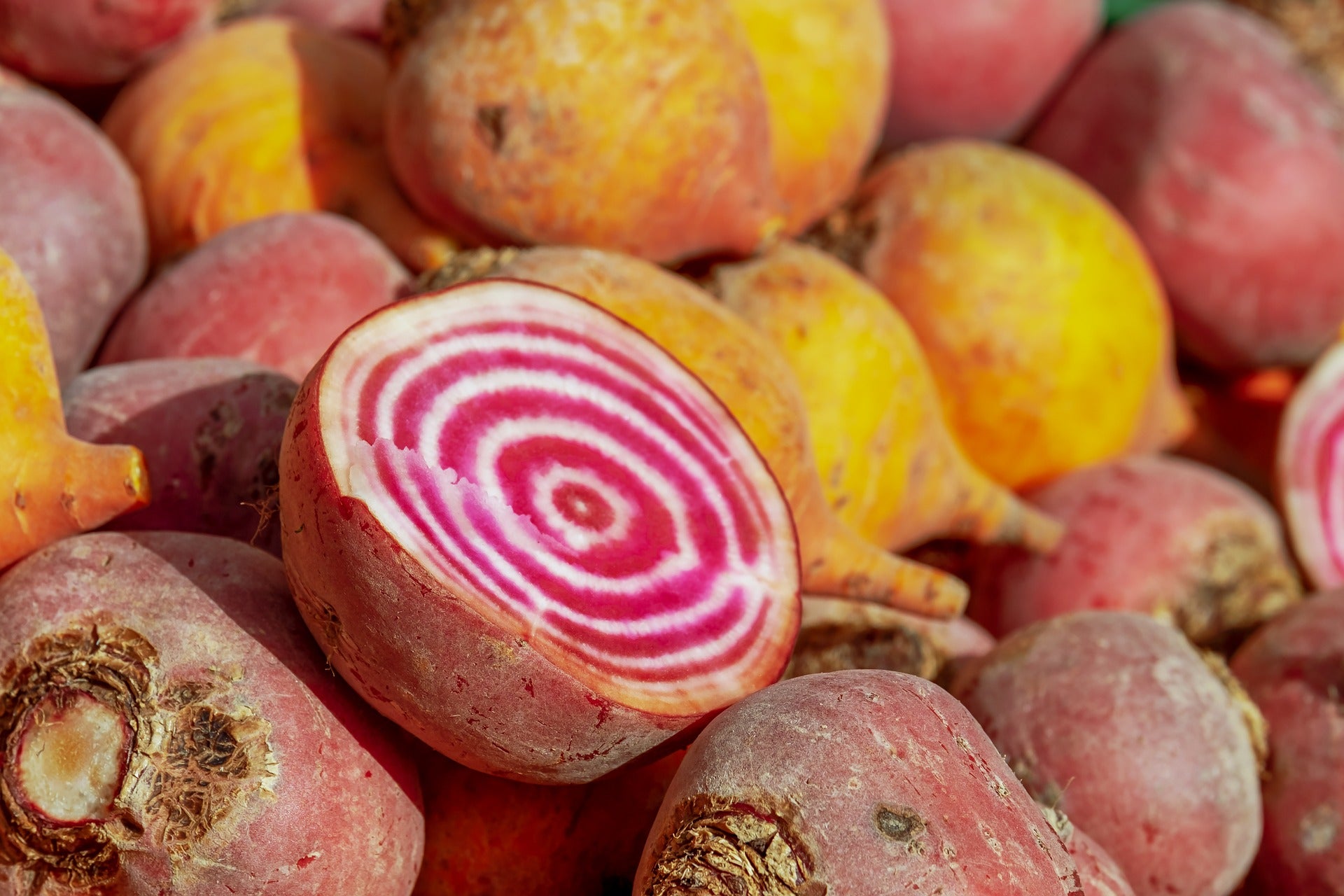 Large Striped Beets (2 count)