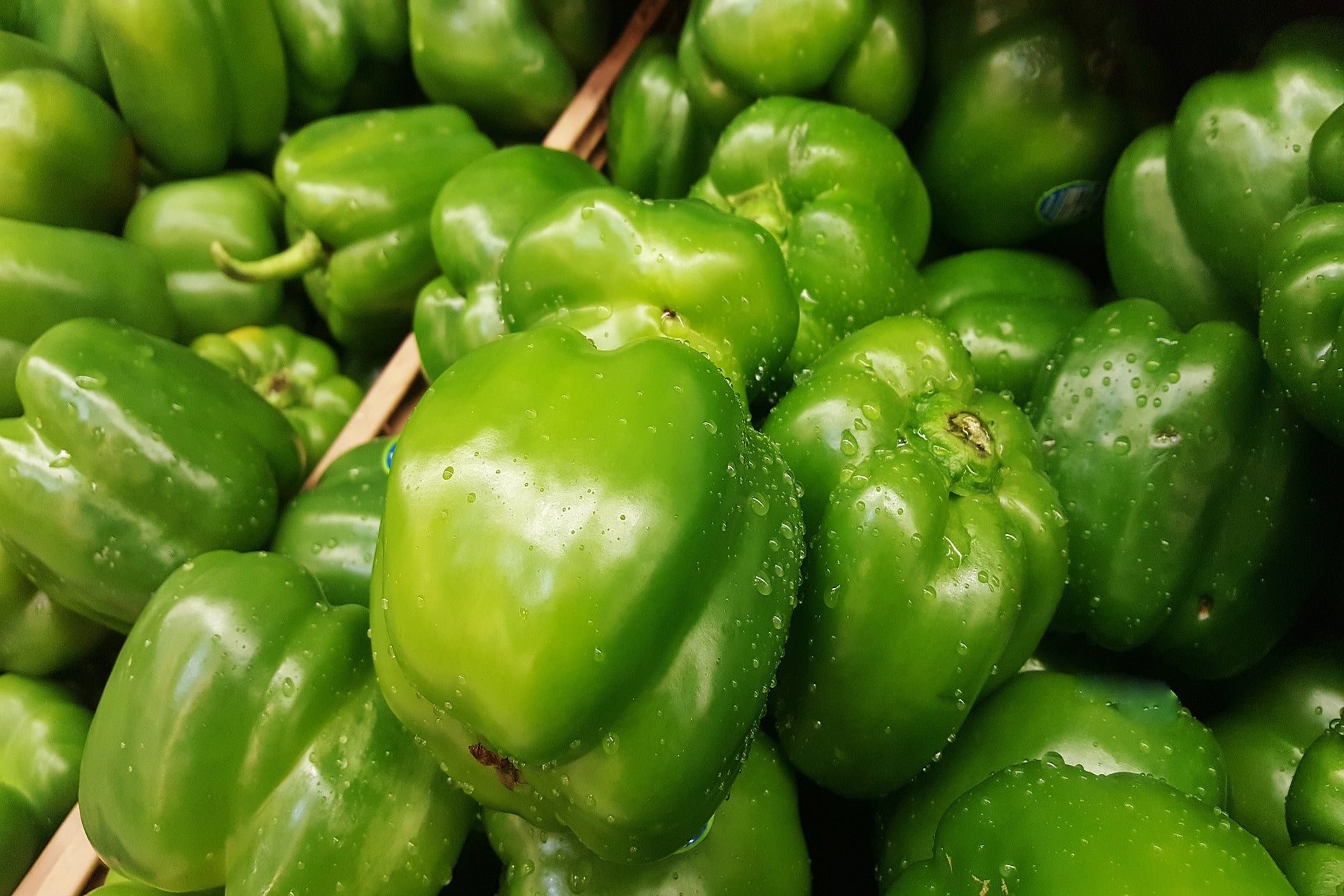 Green Bell Peppers (2 count)