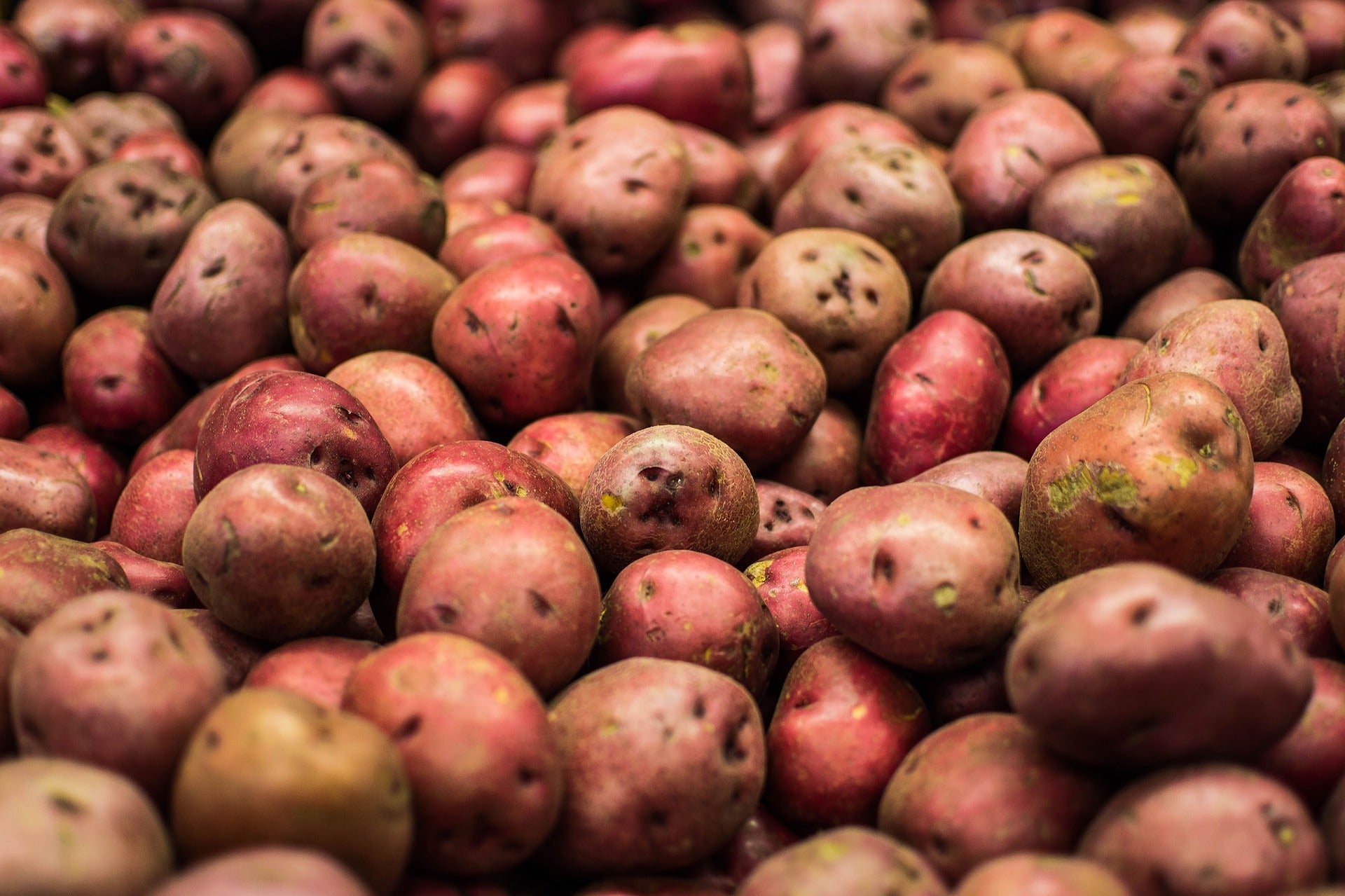 Red Potatoes (8 count bag)