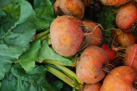 Large Gold Beets (2 count)