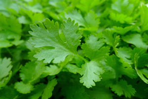 Parsley (1 bunch)