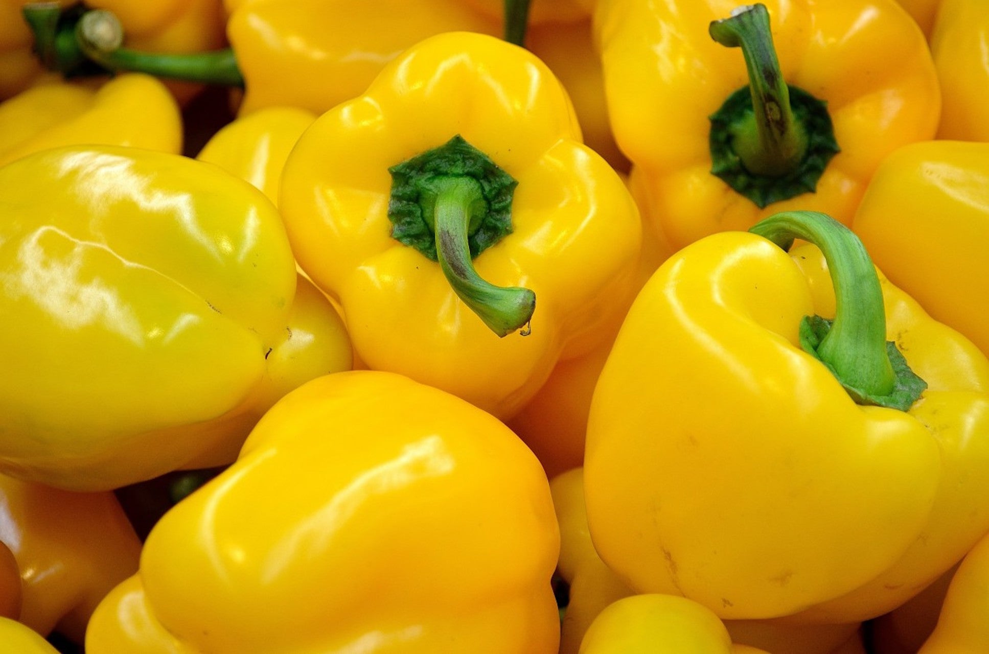 Yellow Bell Peppers (2 count)