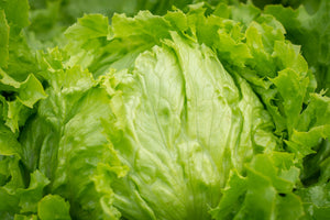 Iceberg Lettuce (1 head)